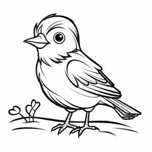 Simple Cardinal Coloring Sheets for Beginners 4
