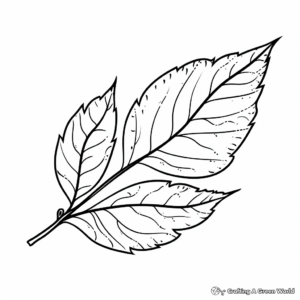 Simple Chestnut Leaf Coloring Pages 4