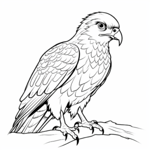 Simple Hawk Coloring Pages for Early Learners 1