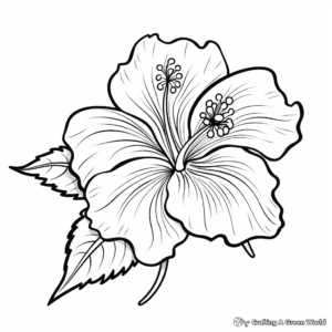 Simple Hibiscus Flower Coloring Sheets 3