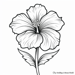 Simple Hibiscus Flower Coloring Sheets 4
