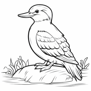 Simple Kookaburra Coloring Pages for Kids 4