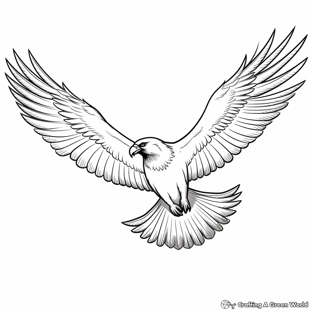 Simple Outline Osprey Coloring Sheets for Schools 2