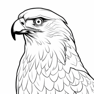 Simple Outline Osprey Coloring Sheets for Schools 4