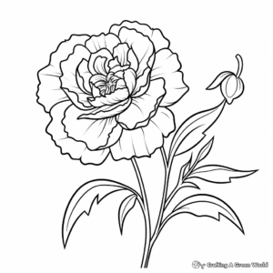 Simple Peony Flower Coloring Pages for Kids 1