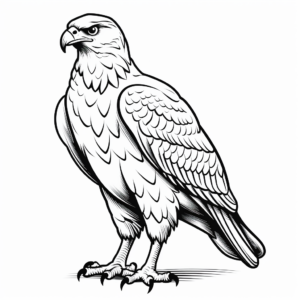 Simple Red Tailed Hawk Silhouette Coloring Pages for Kids 3