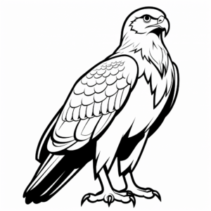 Simple Red Tailed Hawk Silhouette Coloring Pages for Kids 4