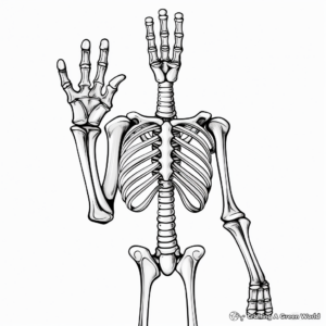 Skeleton Hand Anatomy for Educational Coloring Pages 1