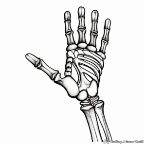Skeleton Hand Bone Structure Coloring Pages 1