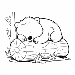 Sleeping Bear Hibernation Coloring Sheets for All Ages 1