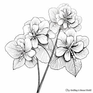 Smooth Hydrangea: Kid-Friendly Coloring Pages 2