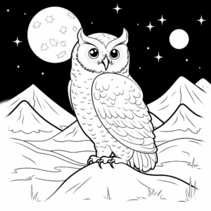 Snowy Owl at Night Coloring Pages 1