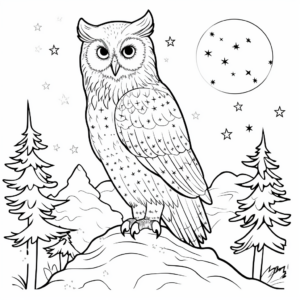 Snowy Owl at Night Coloring Pages 4