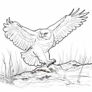 Snowy Owl Hunting Prey Coloring Pages 1