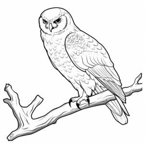 Snowy Owl Perching on Branch Coloring Pages 2