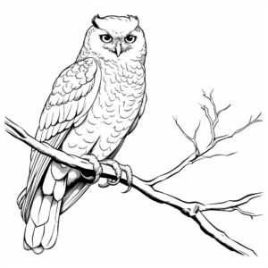 Snowy Owl Perching on Branch Coloring Pages 3