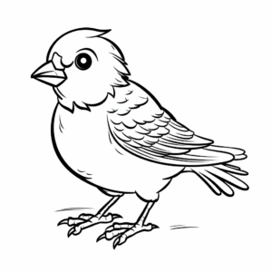 Spectacular Sparrow Coloring Pages 3