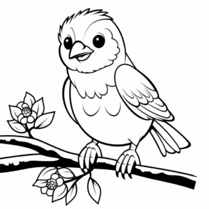 Springtime Robin Coloring Pages 1