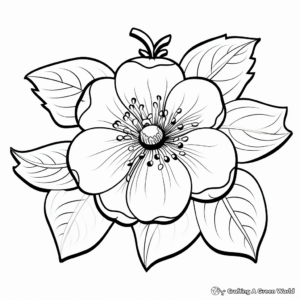 Strawberry and Blossoms Coloring Pages for Children 2
