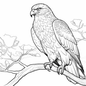 Striking Red-Tailed Hawk Coloring Pages 2
