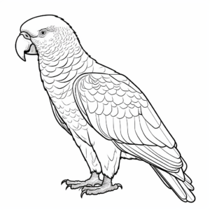 Stunning African Grey Parrot Coloring Pages 3