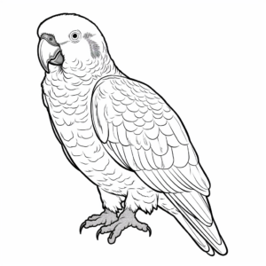Stunning African Grey Parrot Coloring Pages 4