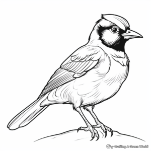 Stunning Blue Jay Coloring Pages 1