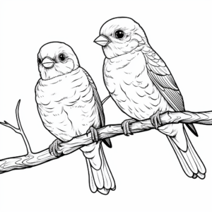 Stunning Pair of American Goldfinches Coloring Pages 2