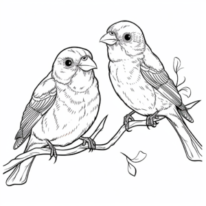 Stunning Pair of American Goldfinches Coloring Pages 3