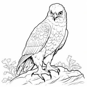 Stunning Peregrine Falcon Coloring Pages 4