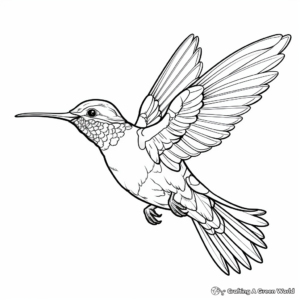 Stunning Sapphire-throated Hummingbird Coloring Pages 1