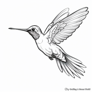 Stunning Sapphire-throated Hummingbird Coloring Pages 2