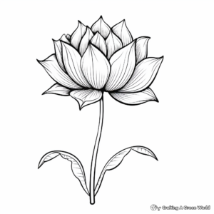 Stunning Single Lotus Flower Coloring Pages 3