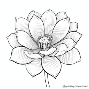 Stunning Single Lotus Flower Coloring Pages 4