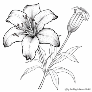 Stunning Starling and Stargazer Lily Coloring Sheets 4
