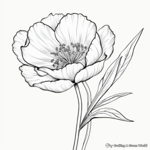 Stunning Tulip Flower Coloring Pages for Hobbyists 4