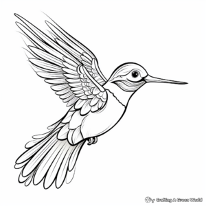 Stylized Broad-Tailed Hummingbird Coloring Pages 2