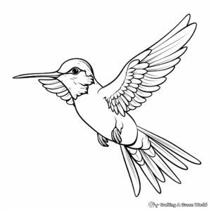 Stylized Broad-Tailed Hummingbird Coloring Pages 3