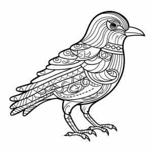 Stylized Crow Adult Coloring Pages 1