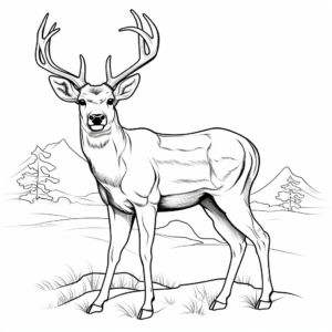 Stylized Mule Deer Coloring Pages for Advanced Artists 4