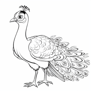 Stylized Peacock with Open Tail Coloring Pages 2