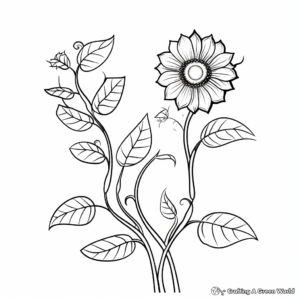 Sunflower Vine Coloring Pages for Children 2