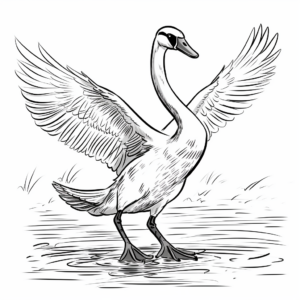 Swan Dance Coloring Pages for Ballet Lovers 4