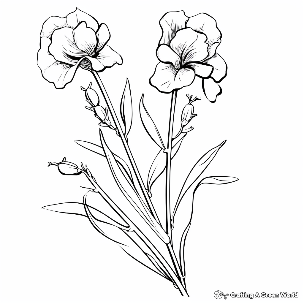 Sweet Peas Coloring Pages for Kids 1