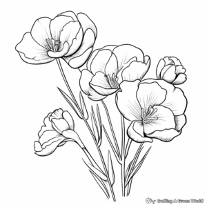 Sweet-Smelling Freesia Flower Coloring pages 1