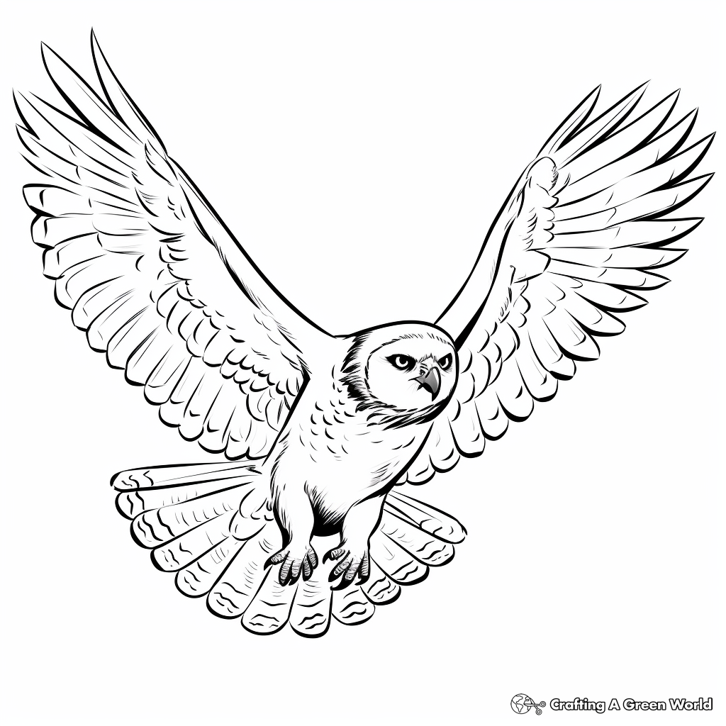 Swooping Snowy Owl Coloring Pages 2
