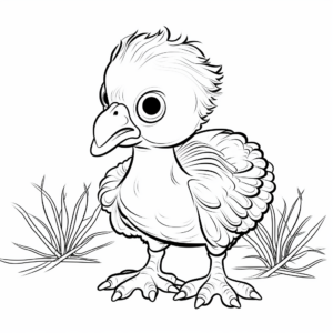 Thanksgiving Baby Turkey Coloring Pages 4