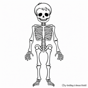 The Human Skeleton Coloring Sheets 1