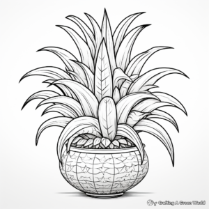 Tropical Pineapple Plant Coloring Pages 1