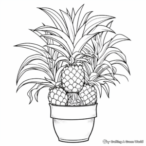 Tropical Pineapple Plant Coloring Pages 4